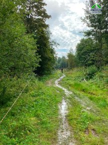 Фото | Строительство дороги в посёлке Стеклянный