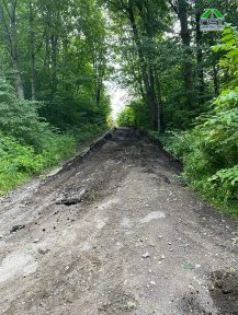 Петергоф | Укладка асфальтовой крошки